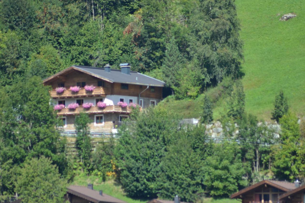 Ferienhaus Rieder Wald im Pinzgau Kültér fotó